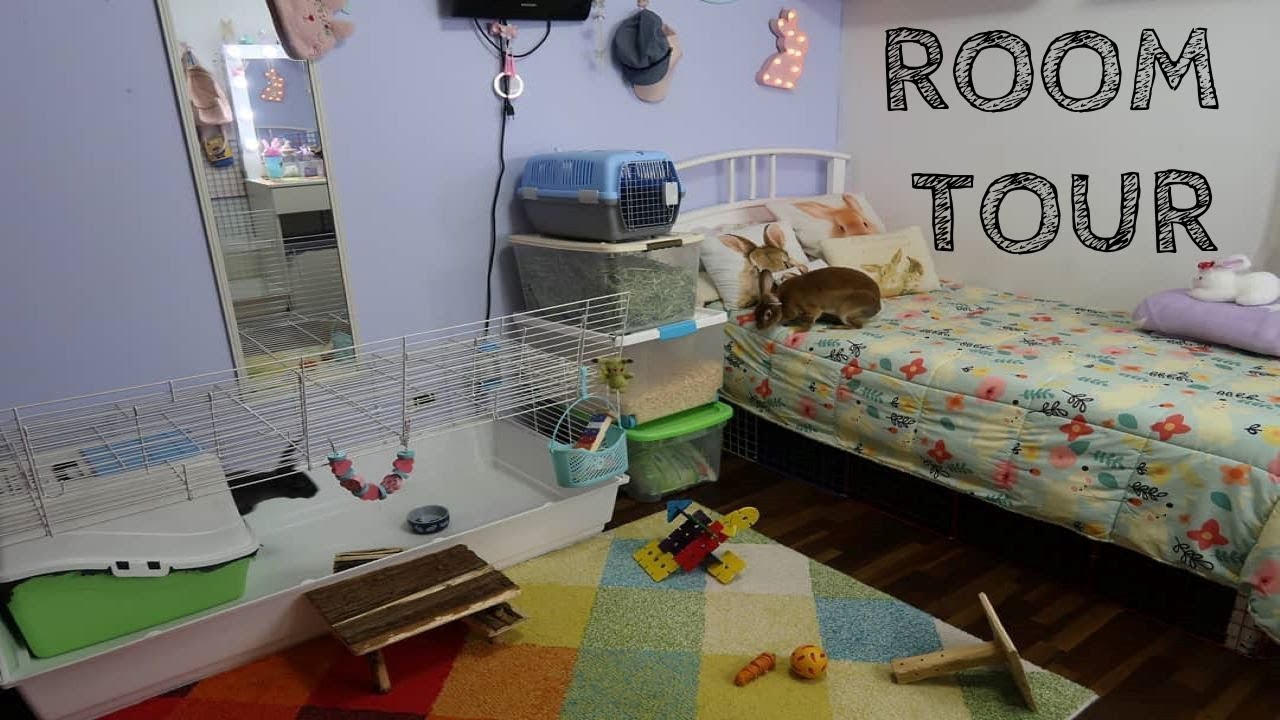 ROOM TOUR CONEJO 2019 🐰🐰🙋‍♀️💗