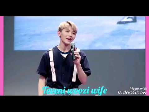 SIMPLE (woozi from seventeen) english cover by Teveni