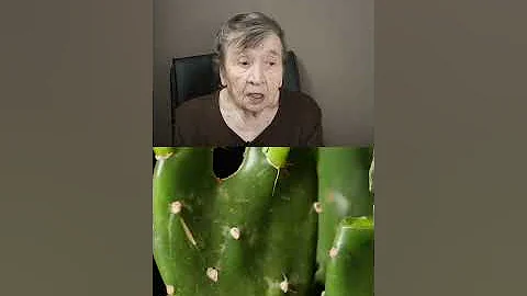 Разрушитель лайфхаков.  Прививка декабриста на опунцию