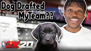 MY PUPPY DRAFTS MY TEAM IN NBA 2K20 | MYTEAM ONLINE