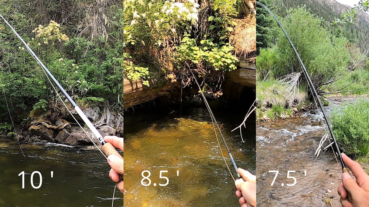 I'll show you WHY you need these 3 Fly Rods! (7.5ft / 8.5ft / 10ft) 