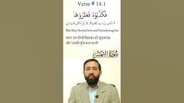 Surah Ash-Shams (The Sun) | Verses 9-15 With Hindi, English, Arabic & Urdu Text | 91- سورة الشمس
