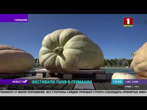 Видео: В Германии проходит крупнейший в мире фестиваль тыквы