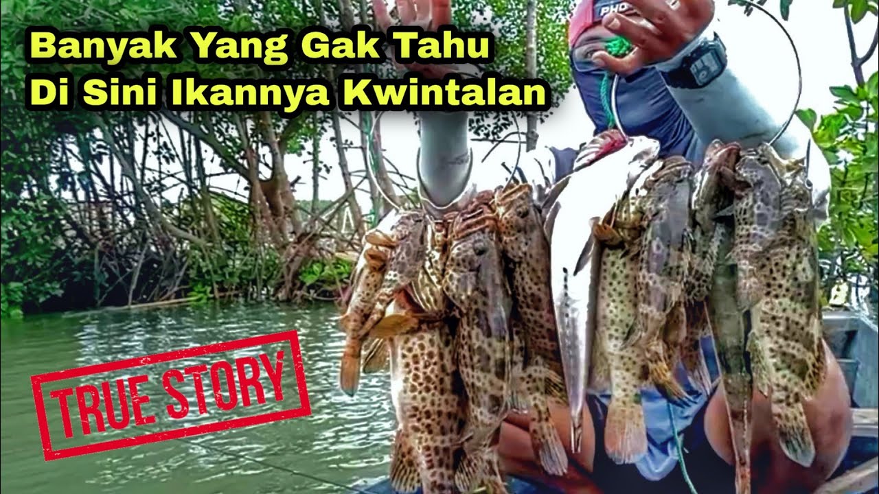 Gak Ada Yang Tahu...!!! Nemu Spot Kerapu Besar Di Reruntuhan Bambu Tua