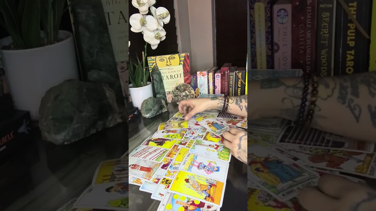 LEO 🌲♌️ DEC YOU GHOSTED THEM NO TALK NO MORE FOR THESE PPL 🌲