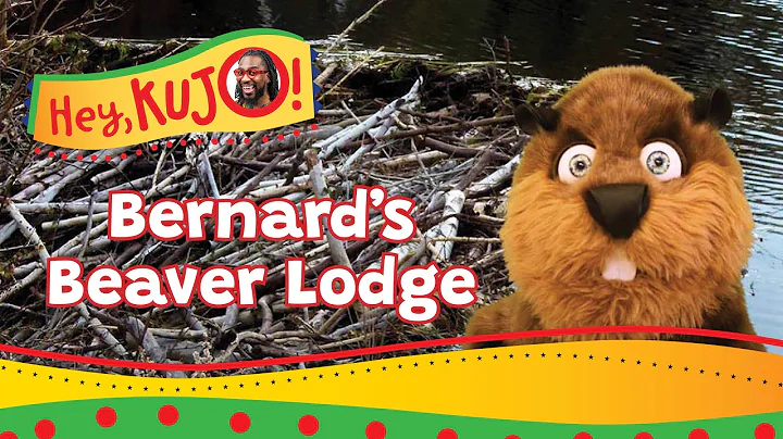 Hey, Kujo! - Episode 2 - Bernard's Beaver Lodge