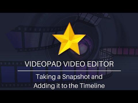 taking-a-snapshot---videopad-video-editing-software-tutorial