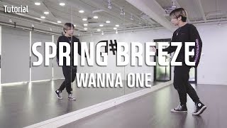 WANNA ONE(워너원) - SPRING BREEZE(봄바람) Dance Tutorial / Tutorial by HyungJoon Kim (Mirror Mode)