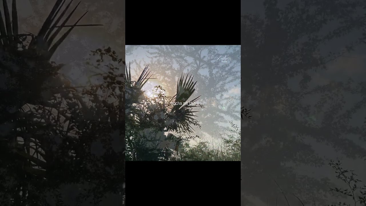 Mayi Ri Ost Aesthetic Video Lyrics Status Shorts Mayiri Sad