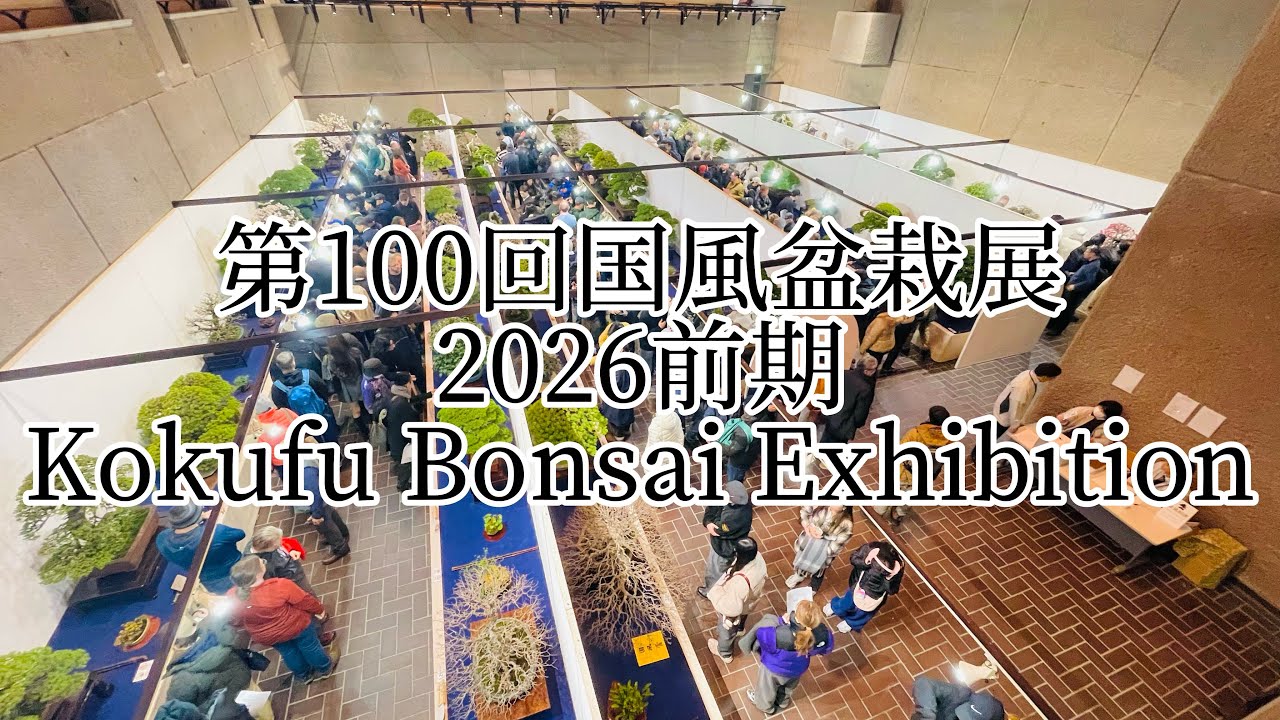 第100回国風盆栽展