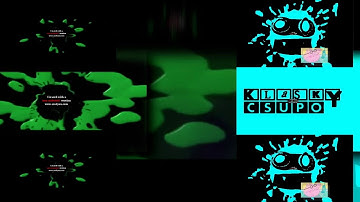 32 Shuric Scans with are slides (Megan Woodmansee