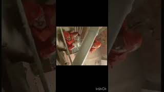 Fırat Boru Reklamı