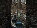 Chilling in the woods (Laying in wait for an ambush)