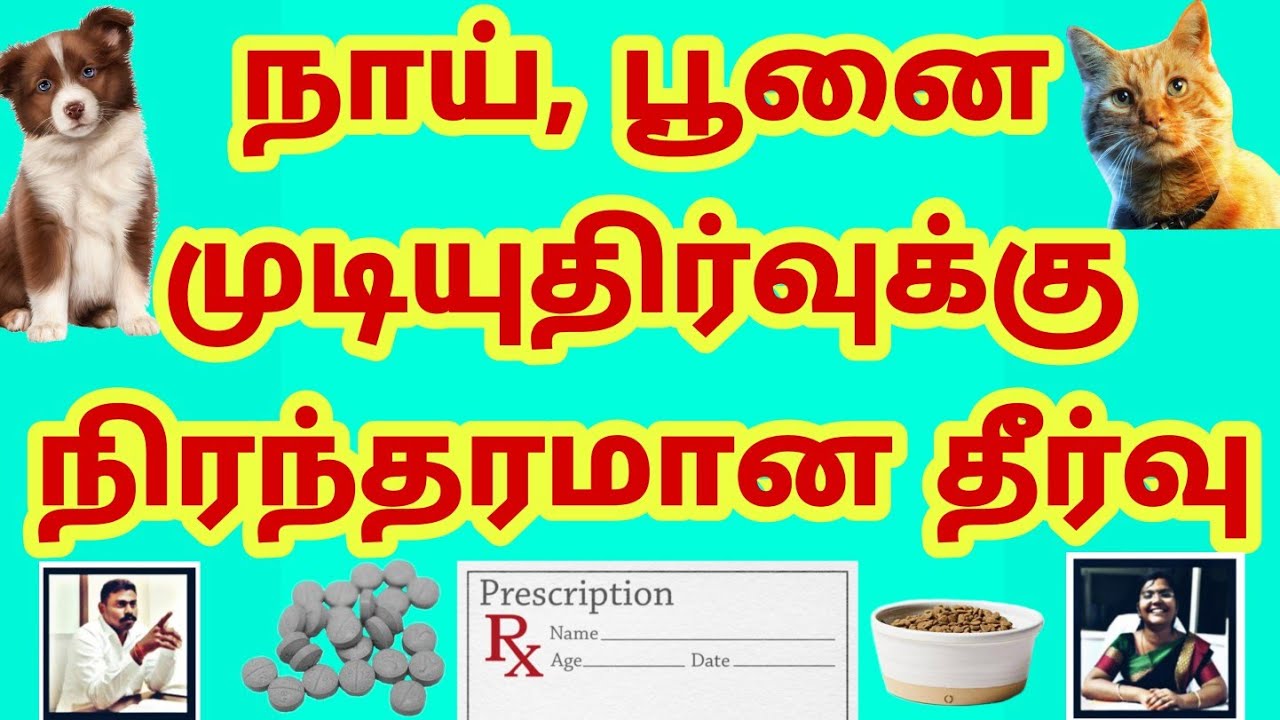 நாய் முடியுதிர்விற்கு கால்நடை மருத்துவர்கள் கூறும் தீர்வுகள் | Hair loss remedy in dogs given by Vet