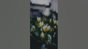 (واعمَلوا صالحاً إني بما تَعملونَ بصير) ماتيسر من سورة سبأ بصوتٍ عذب♥️🌿