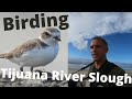 Birding the Tijuana River Slough/Estuary/Lagoon. OVER 70 SPECIES. December 2020