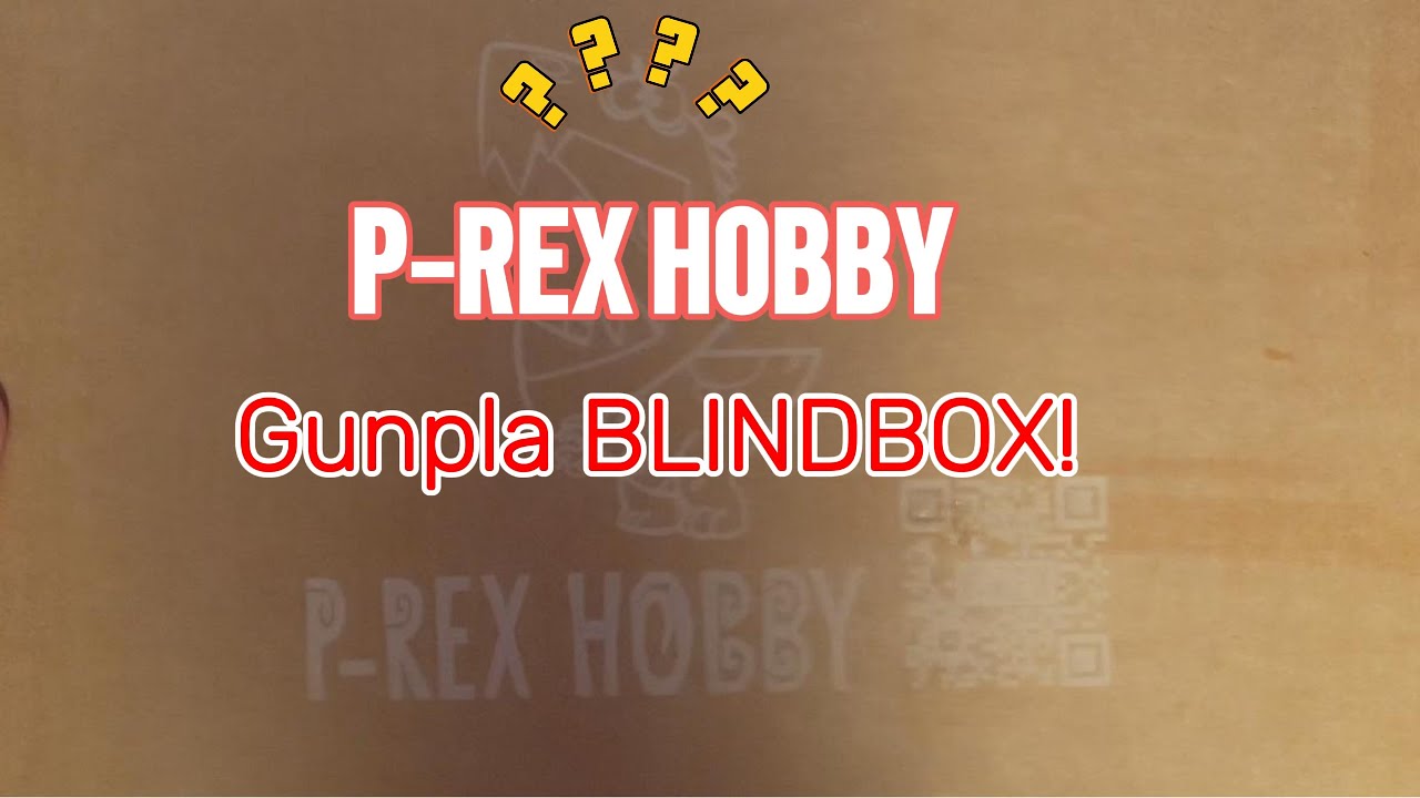 РАСПАКОВКА: P-REX Hobby Gunpla Скрытая коробка/Mysterybox!!