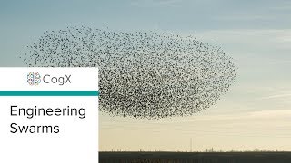 CogX 2018 - Engineering Swarms | CogX