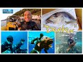 Spearfishing greece  asd dentex