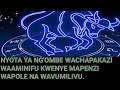 NYOTA YA NG OMBE TABIA ZAKE SIKU YA BAHATI MAFUSHO NA RANGI YA BAHATI NYOTA YA NG OMBE TABIA ZAKE SIKU YA BAHATI MAFUSHO NA RANGI YA BAHATI