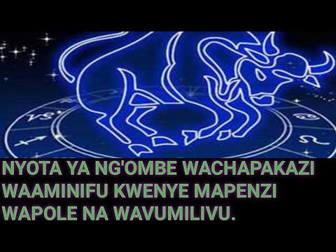 NYOTA YA NG OMBE TABIA ZAKE SIKU YA BAHATI MAFUSHO NA RANGI YA BAHATI 