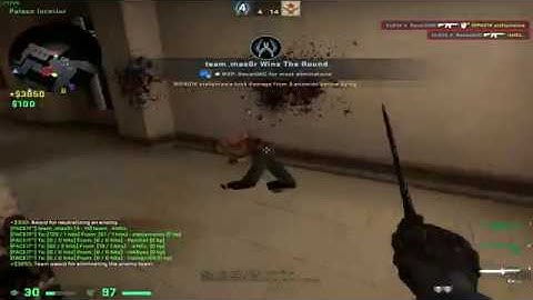 June to August Pug Highlights