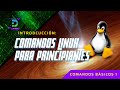 Aprende los 5 comandos esenciales de la terminal Linux