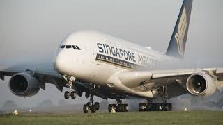 Runway Incursion Prevention Business (Englisch)