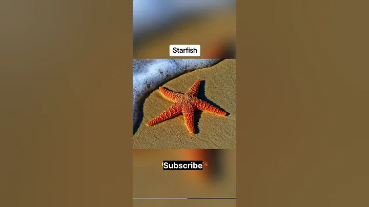 How the World Looks Through the Eyes of Animals You Will Be ShockedAnimal Vision, #reels #shorts