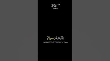 قرآن كريم #راحة_للنفس #اكسبلور #القران # الشيخ ماهر المعيقلي