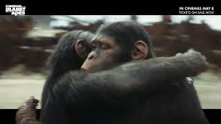 Kingdom Of The Planet Of The Apes | Hero