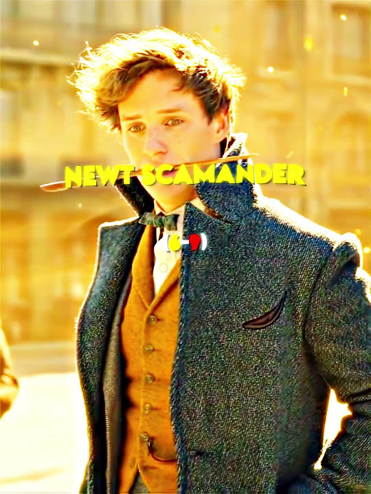 Harry Potter vs Newt Scamander harrypotter vsedit 4k YouTube