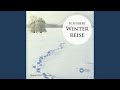 Miniature de la vidéo de la chanson Die Winterreise, Op. 89, D. 911: Der Greise Kopf