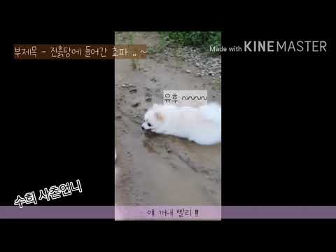 쵸파의 진흙목욕^^