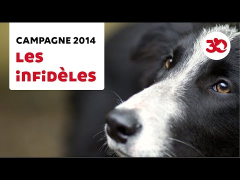 Vidéo: Ce Que Les Coupures Gouvernementales Signifieraient Pour Les Animaux