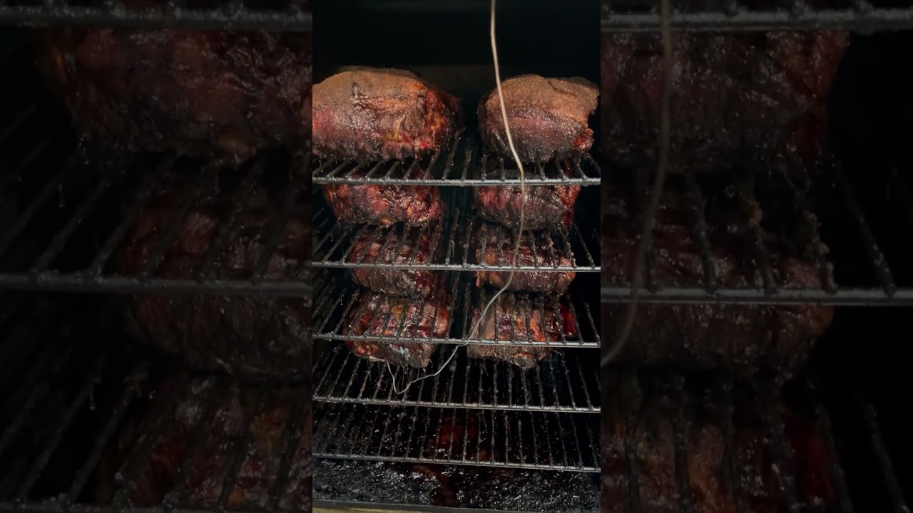 A whole lotta butts! 