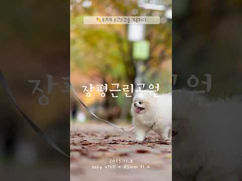 장평근린공원