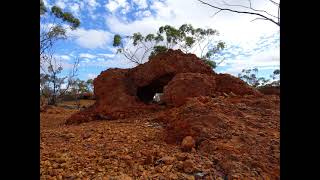 Western Australia Jaurdi, Baker Mining Centre, Wallaroo Rock Woodline April 2022