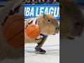 Capybara Scores with an Epic Slam Dunk: NBA's Newest Star! 🌟🦦🏀 終極入樽・豚の籃球夢