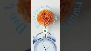 Spring Forward