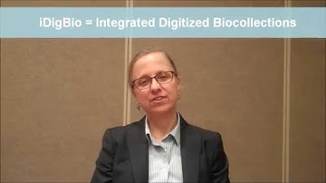 Deb Paul Talks About iDigBio