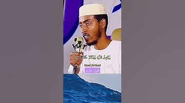 سورة النمل قاري عفيف محمد تاج #سورة #النمل #reels #الله #viral #quran #القرآن #قران #الشيخ #قرآن