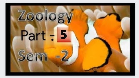 | Kerala University BSc Botany previous questions - 2k19 , 2k20 - ZOOLOGY - Part -  4 ( sem - 2 ) |