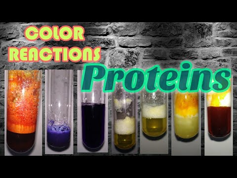 Color reactions of Proteins : Biochemistry series