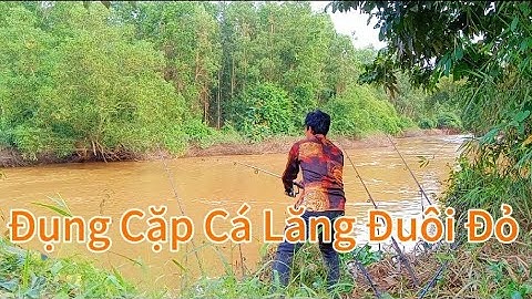 Câu Cá Suối Rạt, Một Ngày Câu Hai Vịnh Hoang Vắng/#102/#Hoà Vlog 934.