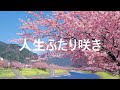 人生ふたり咲き 岡ゆう子 COVER