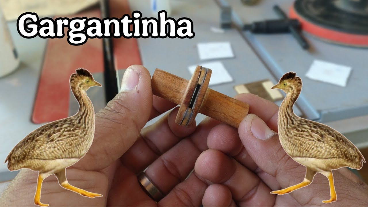 #passoapasso #comofazer Como Fazer O Gargantinha De Codorniz 
