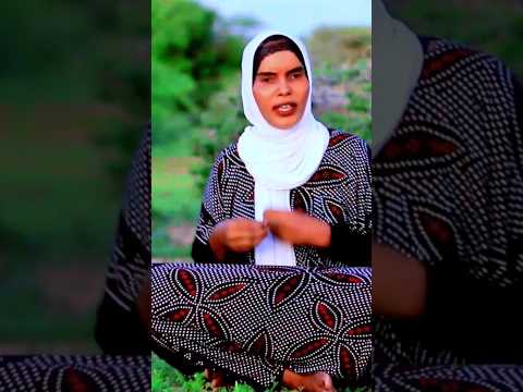 COMING SOON DHAANTO CUSUB DHAWAAN KALASOCO SHUBAAL PRODUCTION YOUTUBE Duet Shortvideo Music