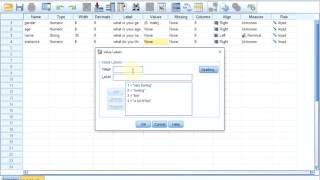 S01E04-1-2a SPSS Basics - Entering simple questions