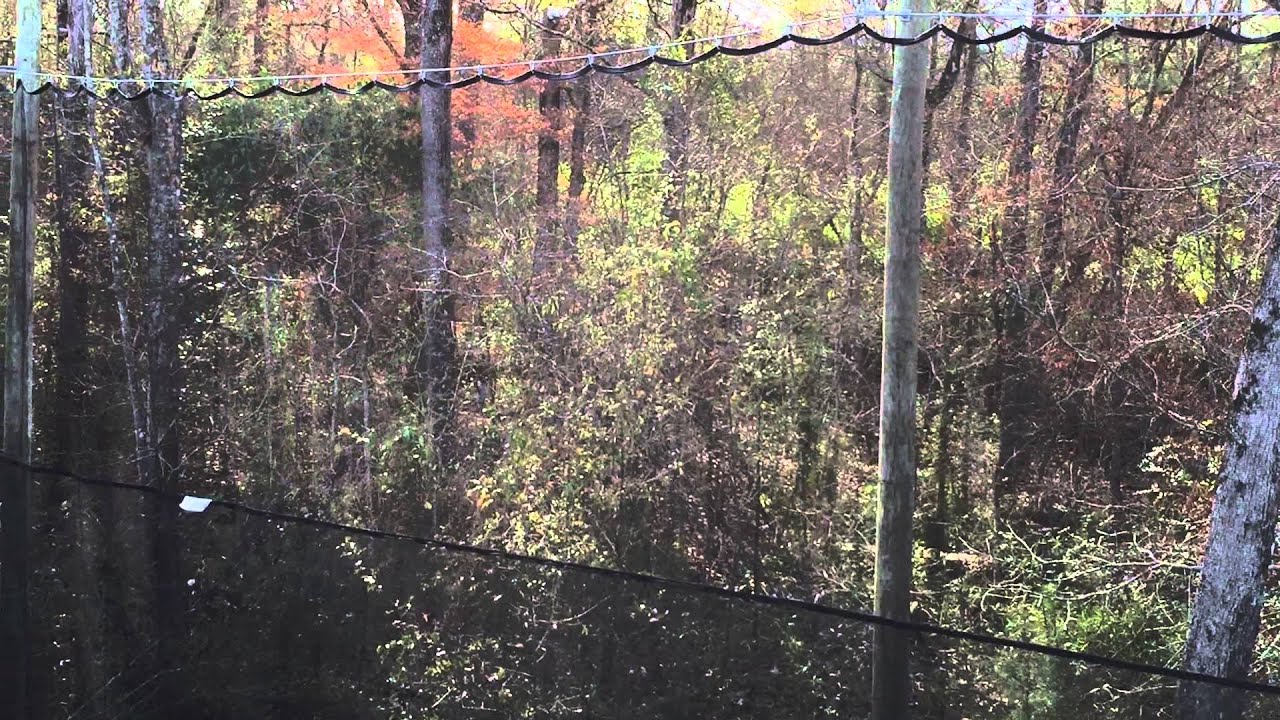 Singles in turkey creek la
